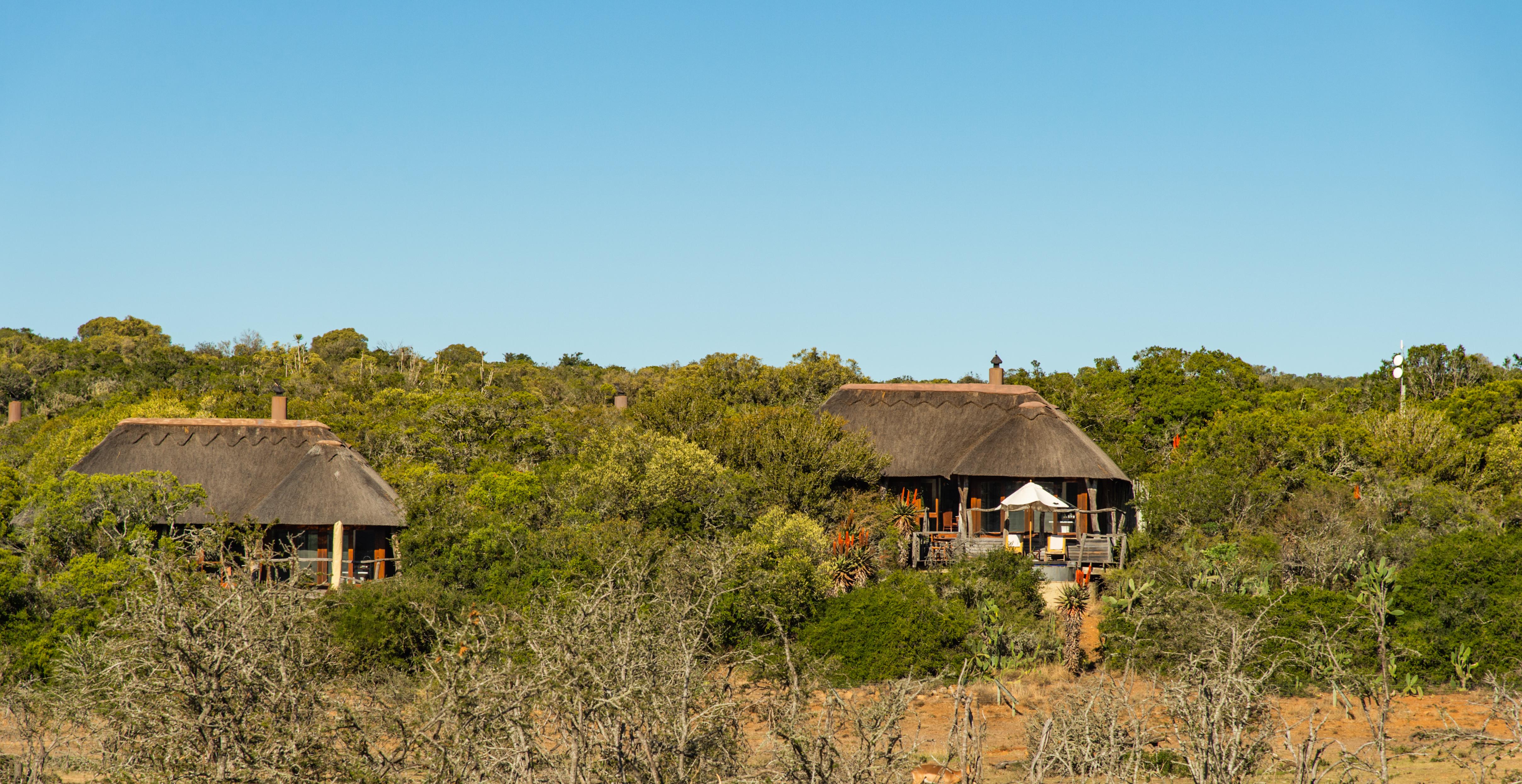 Pumba Private Game Reserve Puerto Elizabeth Exterior foto
