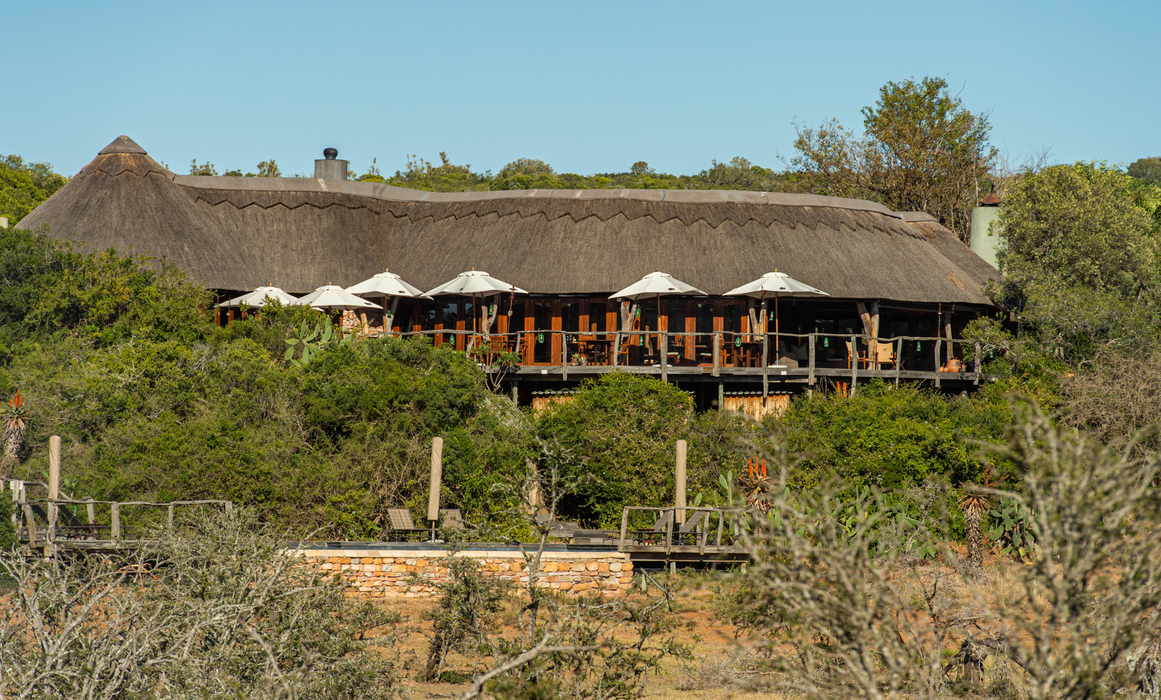 Pumba Private Game Reserve Puerto Elizabeth Exterior foto